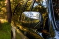 Car forest reflection