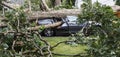 Tree falls and crushes a car that was in the driveway Royalty Free Stock Photo