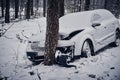 The car got into a skid and crashed into a tree on a snowy road.