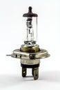 Car halogen light bulb Royalty Free Stock Photo