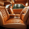 car interior with cushion seats. Rear seats of a luxury car