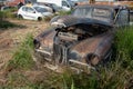 Car junkyard with wreck of a destroyed cars. Environmental pollution metal recycling.