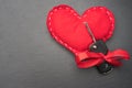 Car key with red bow and a heart Royalty Free Stock Photo