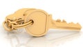 Car key on the white Royalty Free Stock Photo
