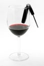 Car key in a wine glass, drunk driver Royalty Free Stock Photo