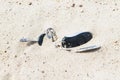 Car keys lost in the sand