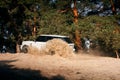 Car Land Rover Range Rover drive at sand off-road near pine forest at daytime Royalty Free Stock Photo