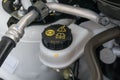 Car maintenance, check the level of brake and clutch fluid