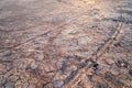 Car marks on ground dry cracked soil texture Royalty Free Stock Photo