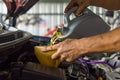 Car mechanic fills a fresh lubricant engine oil Royalty Free Stock Photo