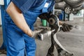 Car mechanic inspecting car wheel and repair suspension detail. Lifted automobile at repair service station. replacement Royalty Free Stock Photo