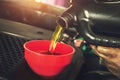 Car mechanic replacing with pouring oil