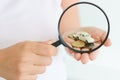 Car model under magnifying glass in woman hand suggesting car search