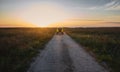 A car moving along a country steppe road in the light of a beautiful sunset sky Royalty Free Stock Photo