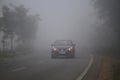 Car moving through a foggy forest road. Royalty Free Stock Photo