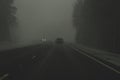 Car moving in snowstorm through the forest. car rides on a winter snowy road in cloudy weather