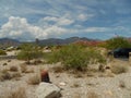 Red rock canyon mohave desert Las Vegas