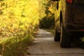 Car parked on country road near forest. Space for text Royalty Free Stock Photo