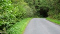 Car POV driving in Gisburn forest