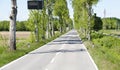 Car road with alley trees