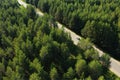 Car on road in coniferous forest, summer, aerial drone Royalty Free Stock Photo