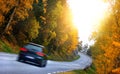 Car on the road in the fores Royalty Free Stock Photo