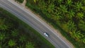 Car on the Road between Palm Oil Tree Plantation from above. Aerial HD birds eye view. Krabi, Thailand.