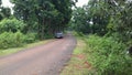 Car on Road side under jungle area