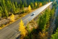 A car on the road. A straight road among the trees. Autumn forest. A straight highway. Autumn time Royalty Free Stock Photo