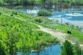 Car on the road between the swamps. railway among marshland. beautiful landscape in sunny day with aerial view