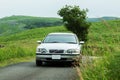 A car that runs exhilaratingly in the meadow