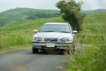 A car that runs exhilaratingly in the meadow