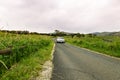 A car that runs exhilaratingly in the meadow