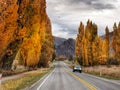 A car on a rural road surrounded by poplar trees