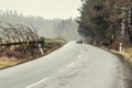 Car safely continous on a road cleared from a fallen tree. Fallen tree across a road after strong wind. Road blocked by