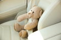 Car seat with buckled bear