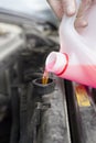 Car service. Adding liquid to the car`s radiator.