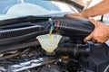 Car servicing mechanic pouring oil Royalty Free Stock Photo