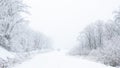 Car on snowy foggy road in winter forest Royalty Free Stock Photo