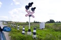 Car stand railway crossing road traffic-light Royalty Free Stock Photo