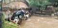 Car Stuck in Bridge During Floods Royalty Free Stock Photo