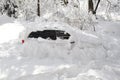 Car Stuck in Snow Storm