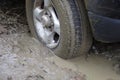 Car stuck, car wheel in a dirty puddle, rough terrain