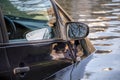 Car submerged in flood water. Royalty Free Stock Photo