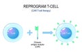 CAR-T-cell cancer therapy. Process of a T cell reprogramming Royalty Free Stock Photo
