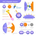 CAR-T cell immunotherapy for cancer treatment. Vector infographic elements with T cell, cancer cell, antigen with the
