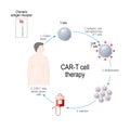 CAR T cell therapy. cancer immunotherapy. Artificial leukocyte receptors Royalty Free Stock Photo