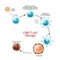 CAR T-cell therapy Royalty Free Stock Photo