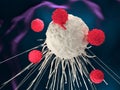 CAR-T cell therapy Royalty Free Stock Photo