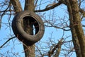 Car tire hanging from a tree the city